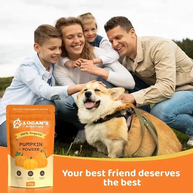 Økologisk gresskarpulver