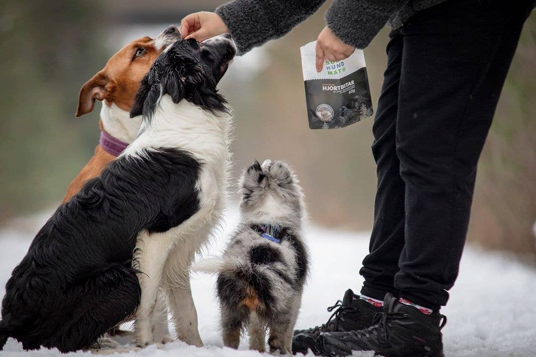 Frysetørket godbiter av hjort