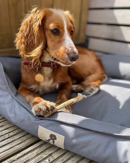 Natural twist | storfeblære