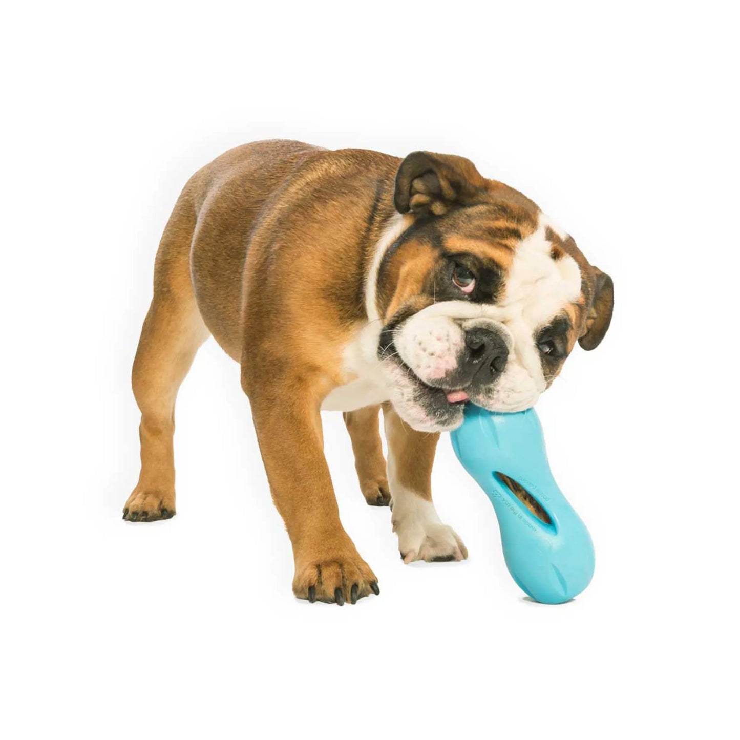 qwizl treat toy west paw