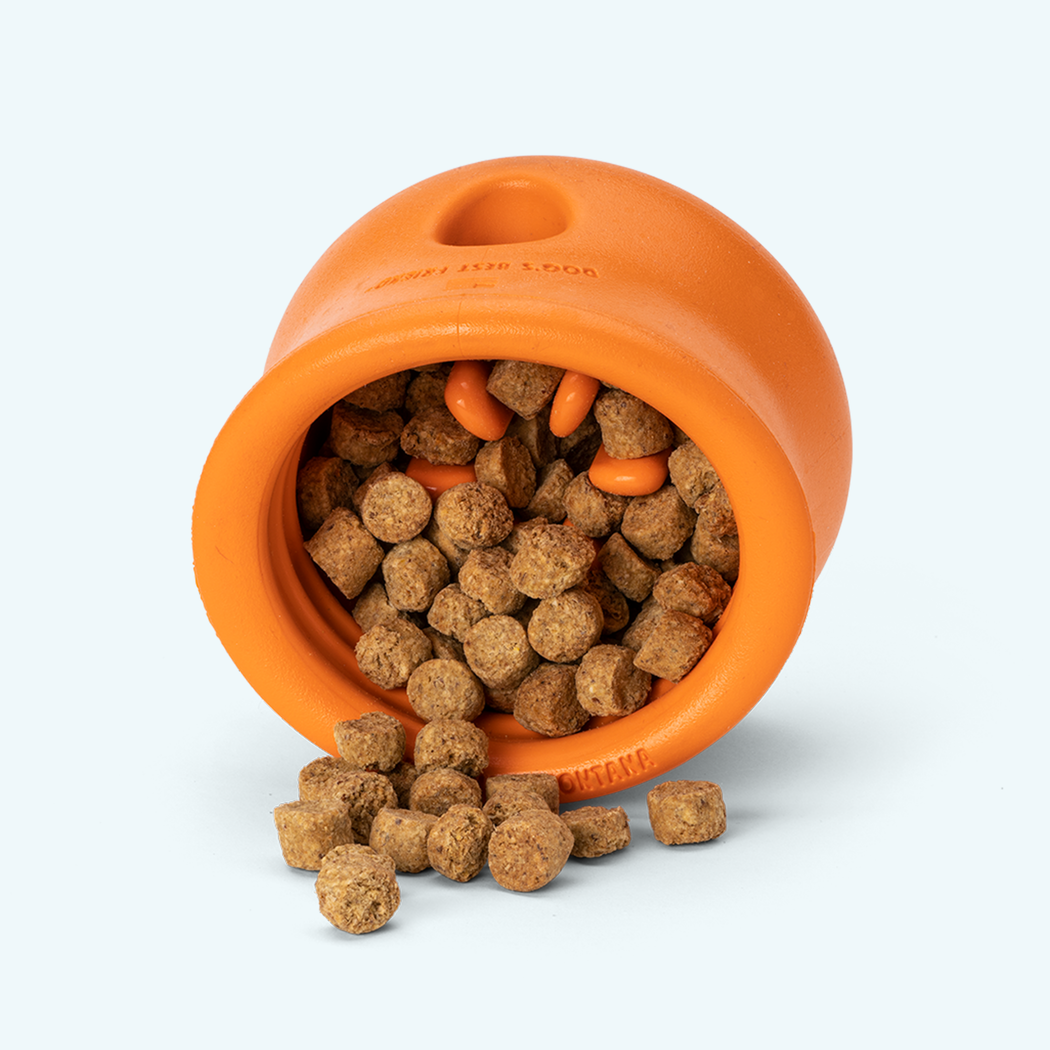 Toppl Treat toy