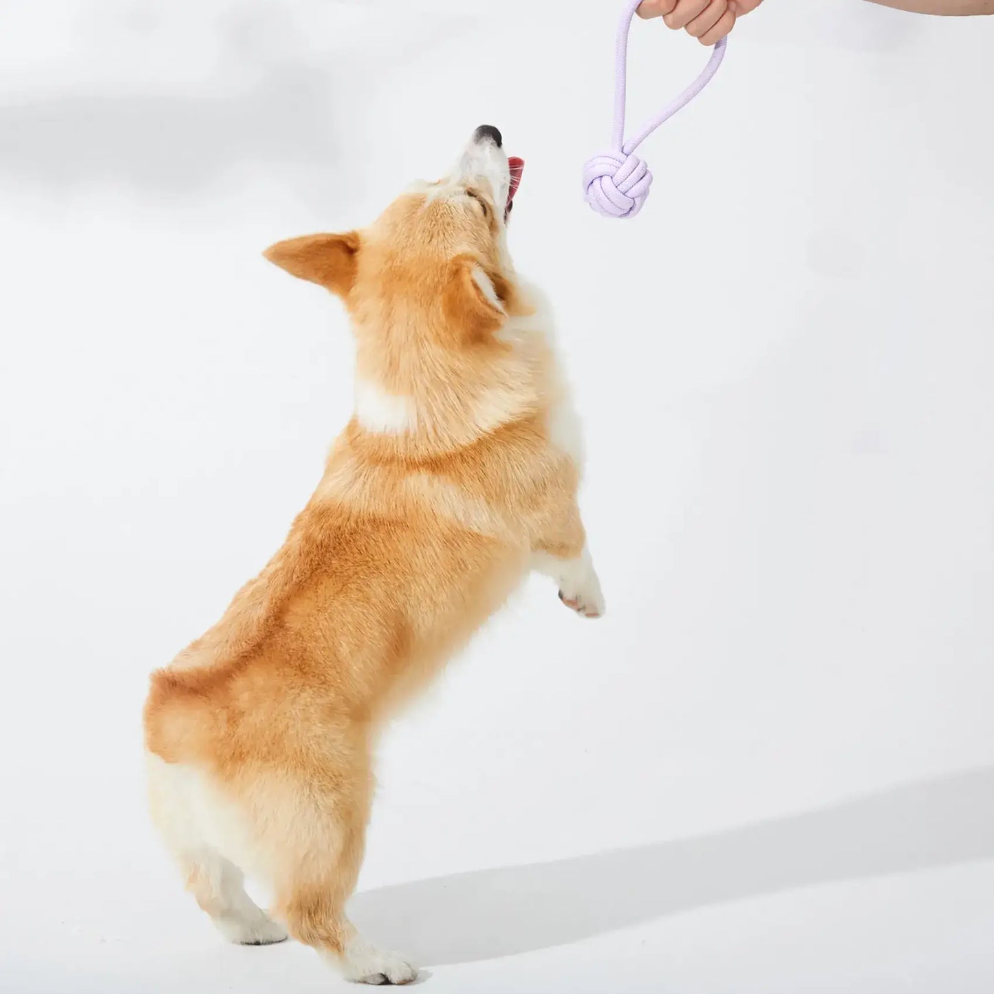 Tauleke i pastellfarger