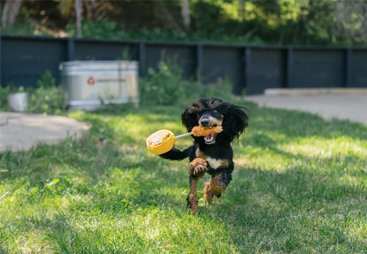 Barking Brunch Collection Chicken & Woofles