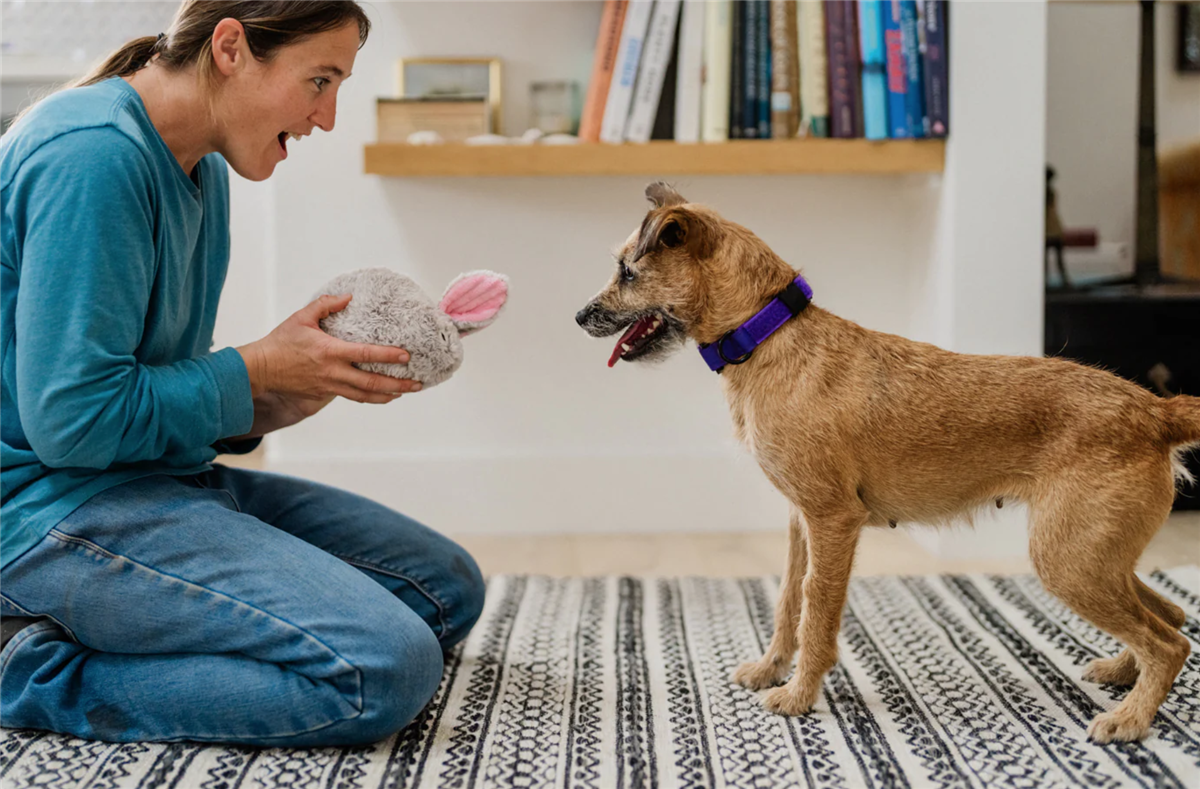 Forest Friends Baxter the Bunny