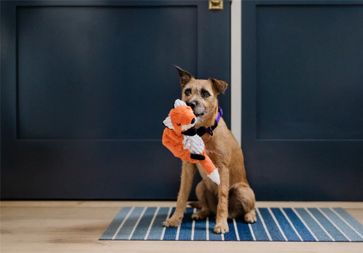 Forest Friends - Forest the Fox