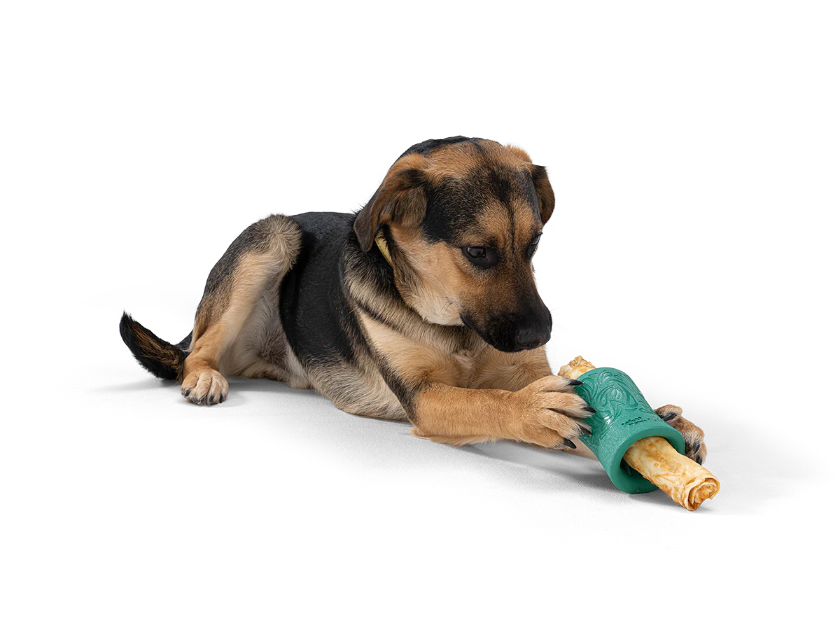 Funnl treat toy
