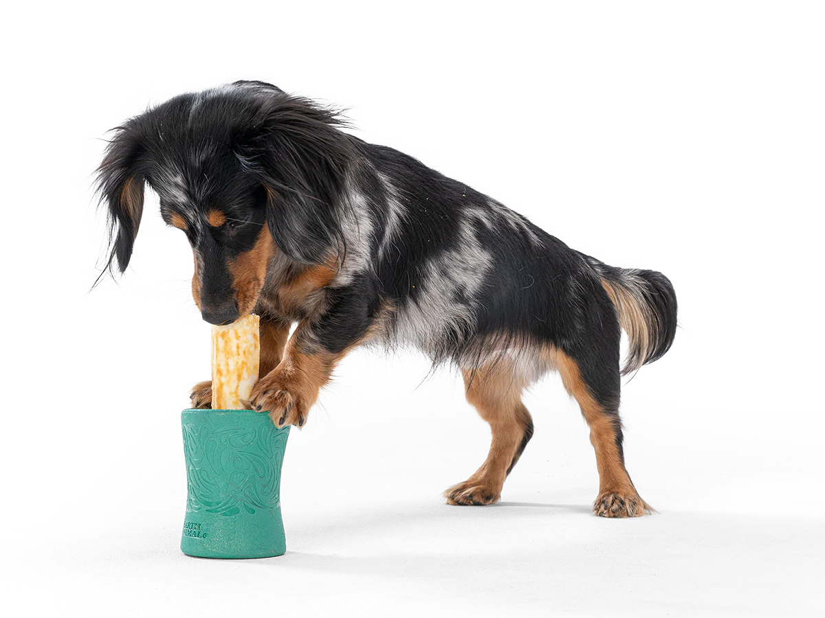 Funnl treat toy