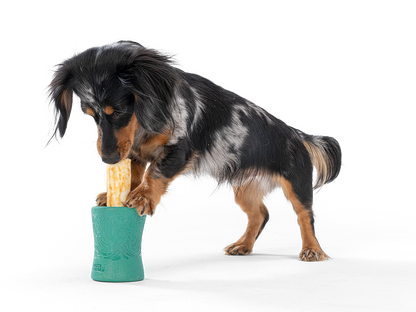 Funnl treat toy