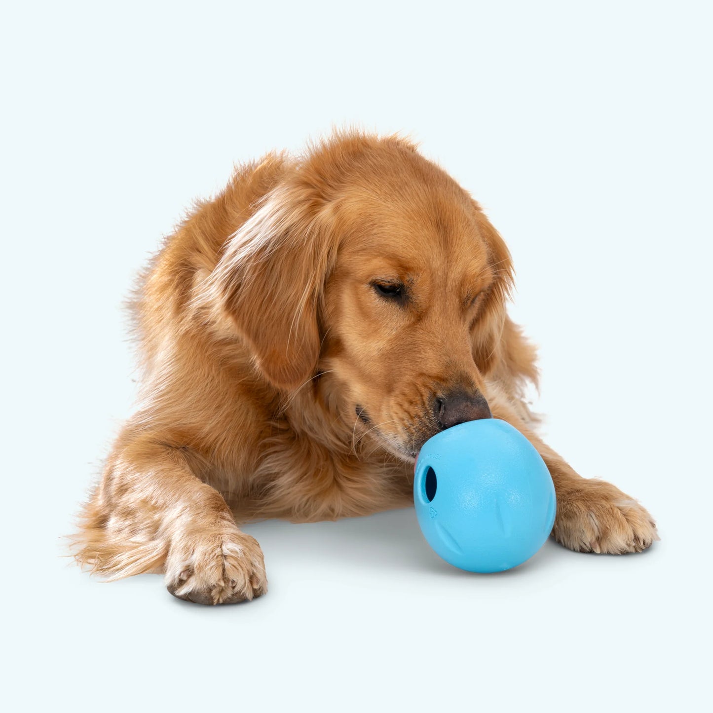 Rumbl Treat Toy