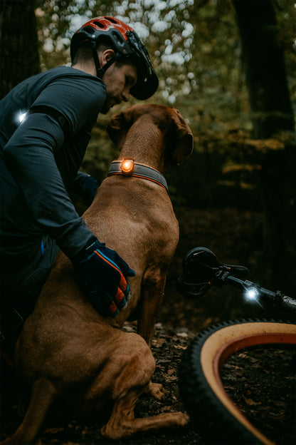 Sikkerhetslys K9 active