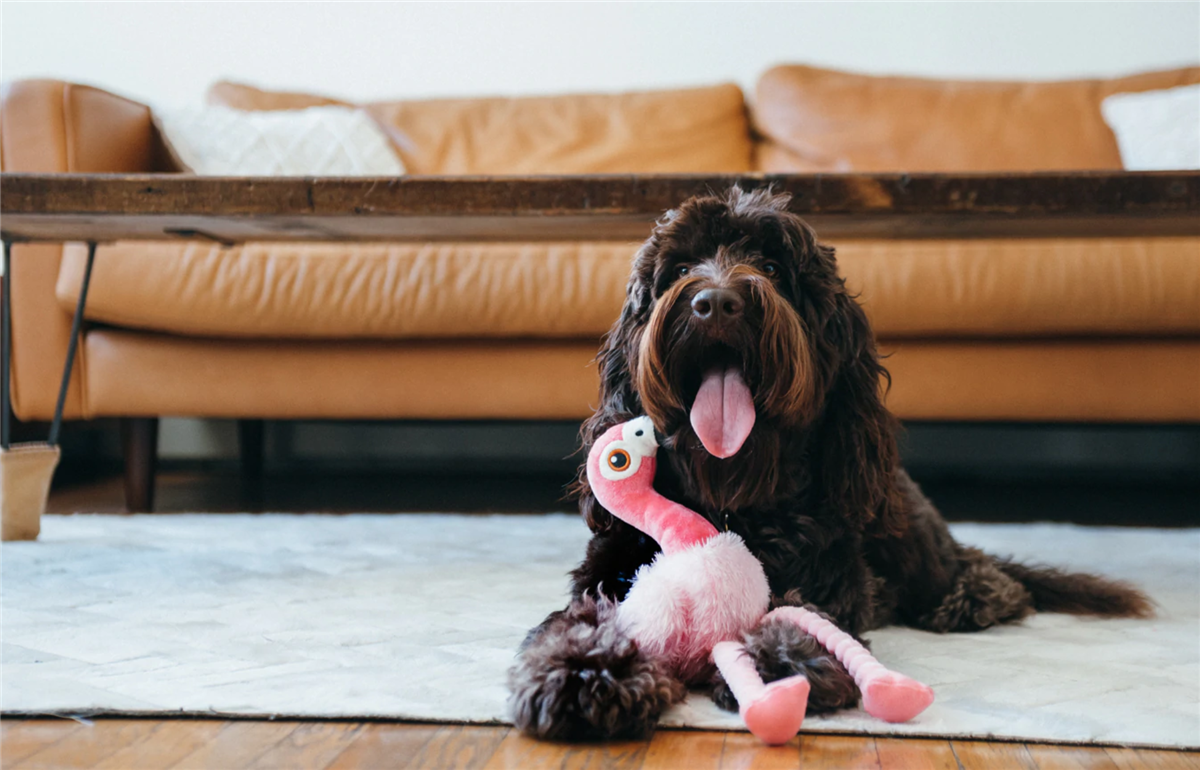 Fetching Flock Collection - Flora the Flamingo m/Chew Guard