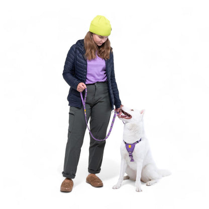 Woolly Wolf - Softline sele Northern Lights