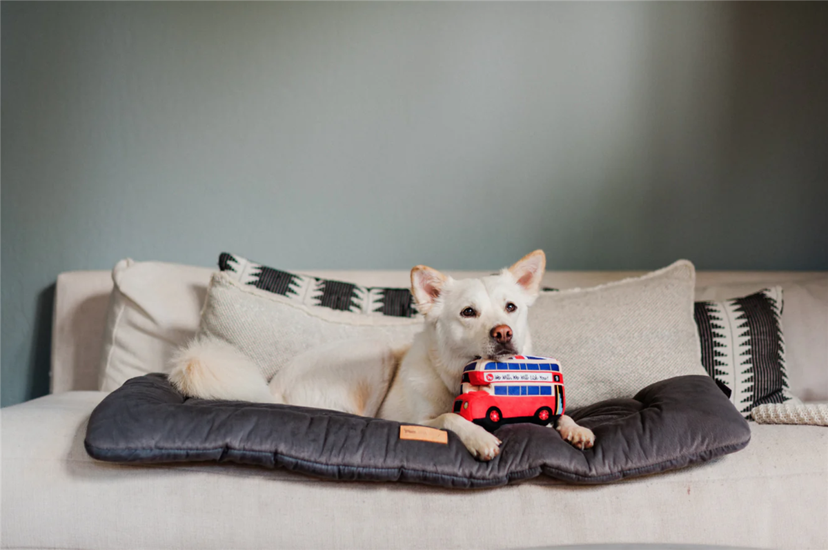 Canine Commute Collection - Lickety-Split Bus m/chew guard