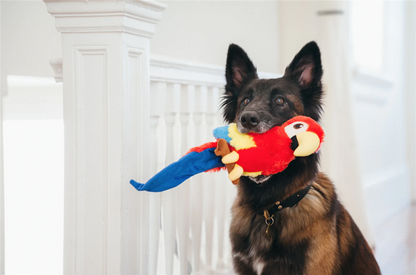 Fetching Flock Collection Paula the Parrot m/Chew Guard
