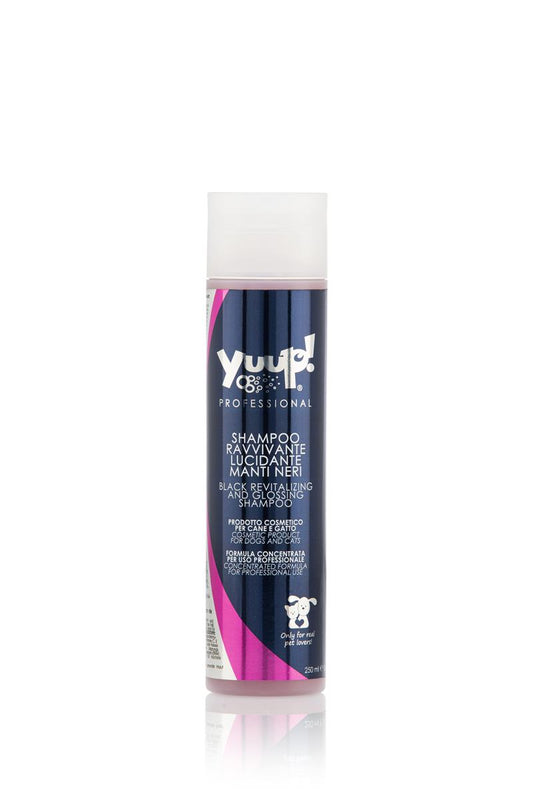 PRO Black Revitalizing and Glossing Shampoo