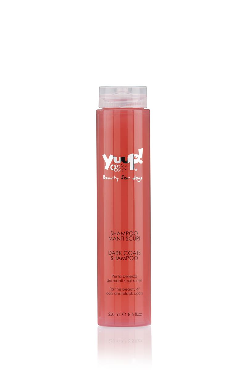Dark Coats Shampoo